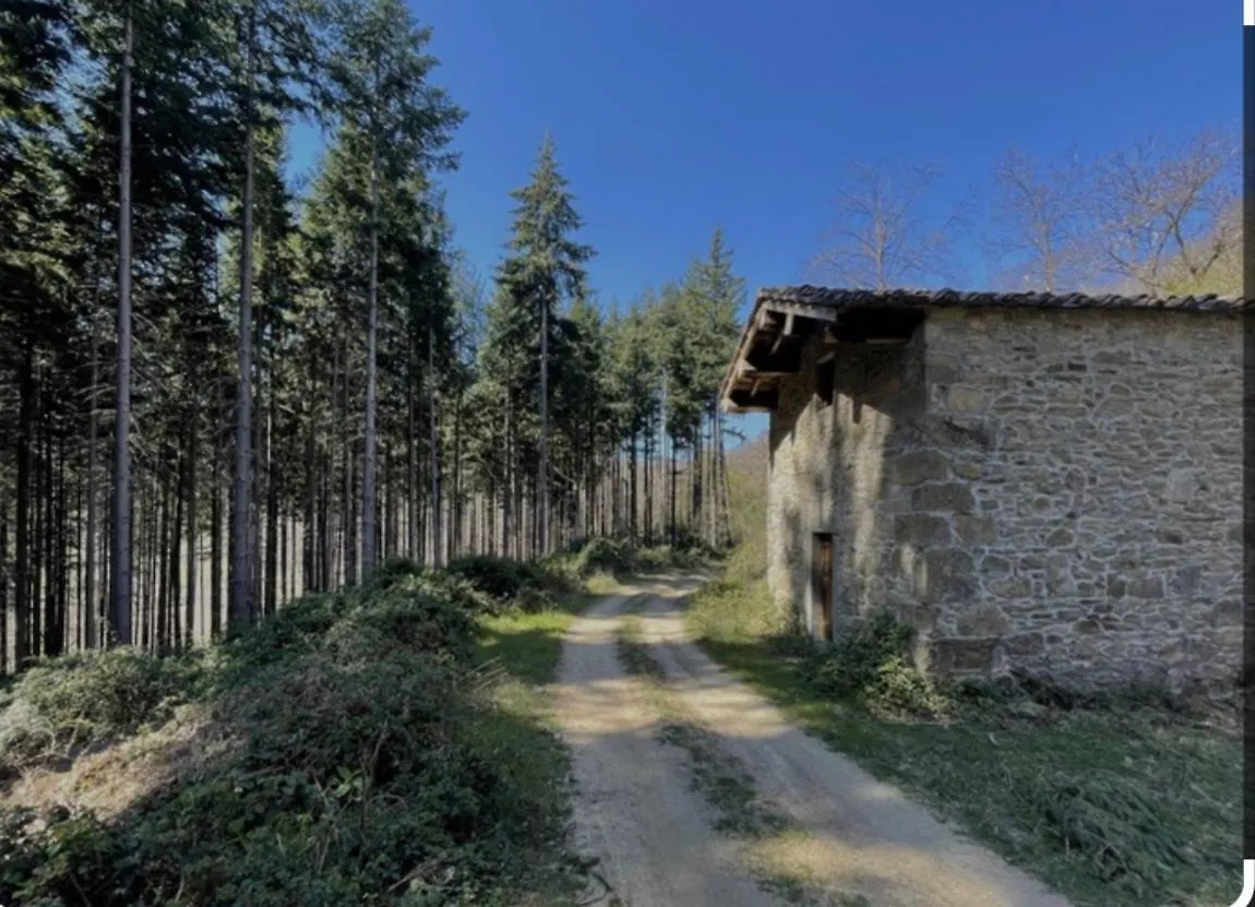 Apartment Villetta Mi Il Fabbro